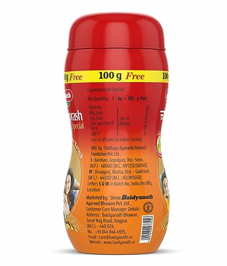 Baidyanath Chyawanprash Special-1 kg + 100 gms