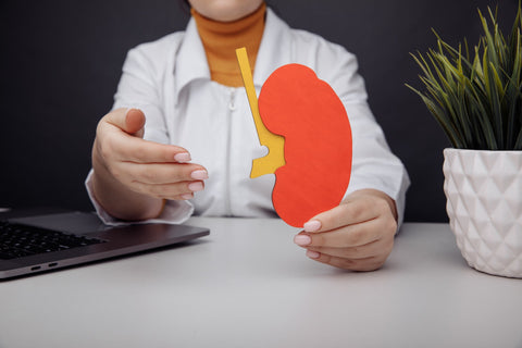 Baidyanath Urinary Tract Support