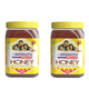 Baidyanath Honey (Madhu)