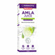 Baidyanath Amla Juice (1l)