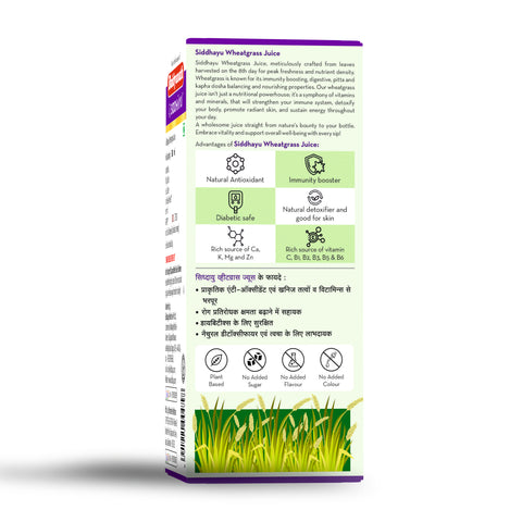 Baidyanath Wheatgrass Juice 500ml