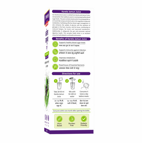 Baidyanath Karela Jamun Juice – (1l)