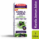 Baidyanath Karela Jamun Juice – (1l)