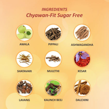 Baidyanath Chyawanfit Sugar Free – Pack Of 2 (1kg Each)