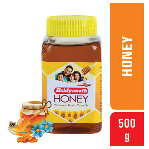 Baidyanath Sitopaladi Churna Pack Of 2 (60 g In Each Pack) + Honey 500 g